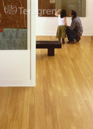Teragren Fine Bamboo Flooring