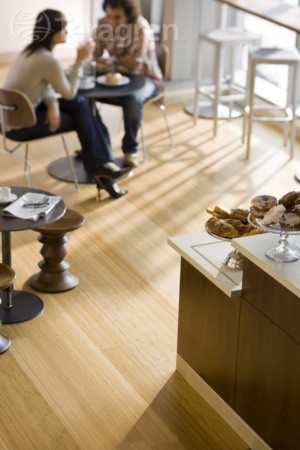 Teragren Fine Bamboo Flooring