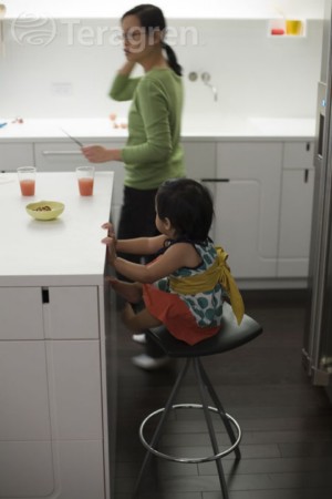 Teragren Fine Bamboo Flooring