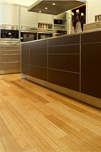 Teragren Fine Bamboo Flooring