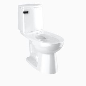 WETS-4009.4011 Floor-Mounted Gravity/Tank Toilet