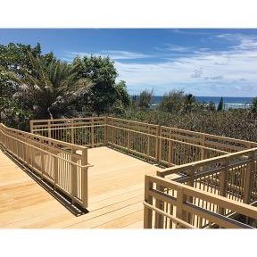 Dynaplank™ Boardwalk Plank