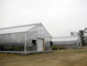 Winandy Greenhouse Featured Projects