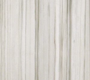 Porcelain Tile - Zebrino CG Marmoker - Polished