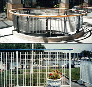 Image1