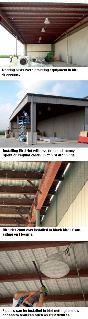 Bird Net Installed Under Overhang