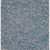 Sherwin Williams Ceramic Carpet 400