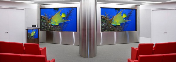Video Conferencing Screens