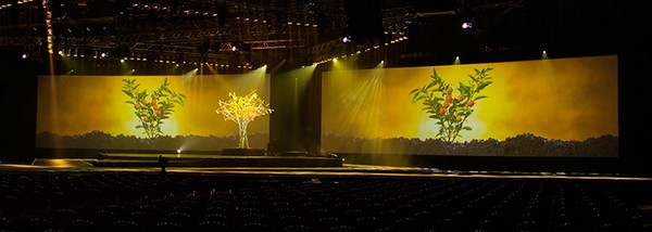 Video Conferencing Screens
