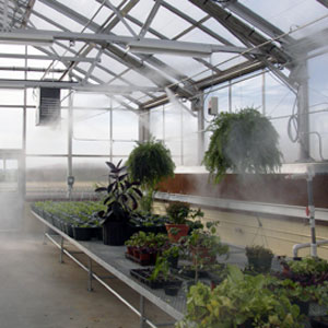 Greenhouse Mist Systems