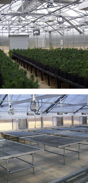 Greenhouse Plant Benches