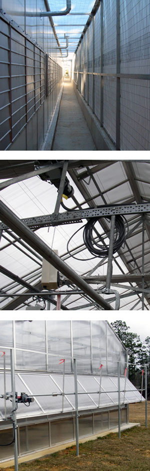 Greenhouse Screens