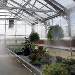 Winandy Greenhouse Company, Inc. - Mist Systems
