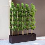 Planters Unlimited - Bamboo Grove Privacy Screen in Modern Fiberglass Planter 96in.L x 12in.W x 72in.H, Outdoor Rated