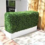 Planters Unlimited - Boxwood Hedge Privacy Screen in Modern Fiberglass Planter 48in.L x 12in.W x 72in.H, Outdoor Rated
