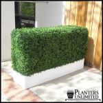 Planters Unlimited - Boxwood Hedge Privacy Screen in Modern Fiberglass Planter 72in.L x 12in.W x 72in.H, Outdoor Rated