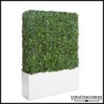 Planters Unlimited - English Ivy Hedges in Planters, Outdoor