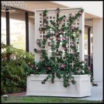 Planters Unlimited - Rolling Trellis Space Divider w/ Outdoor Rated Vines 36inL x 12inW x 72inH