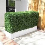 Planters Unlimited - 24"-48" Length Planter with Boxwood Hedge