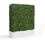 Planters Unlimited - English Ivy Hedges with Fiberglass Planter