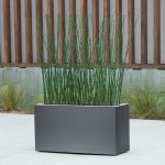 Planters Unlimited - Outdoor Rated Horsetail Reeds in 24"H Modern Planter