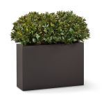 Planters Unlimited - Outdoor Rated Rhododendron in Modern Planter