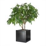 Planters Unlimited - Ashville Fiberglass Square Planter