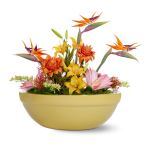 Planters Unlimited - Balboa Fiberglass Low Bowl Planter