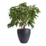 Planters Unlimited - Quick Ship Rocca Round Fiberglass Planter: 2 weeks