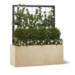 Planters Unlimited - Trellis Vine & Shrub Planting in Modern Fiberstone Planter