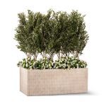 Planters Unlimited - Ruscus & Bougainvillea in Draper Fiberstone Planter