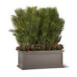 Planters Unlimited - Areca Palms with Flowers in Keswick Fiberglass Planter