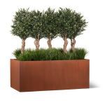 Planters Unlimited - Ixora Chenisis / Grass Mix in Modern Corten Steel Planter