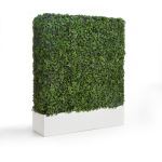 Planters Unlimited - English Ivy Hedges with Fiberglass Modern Planter