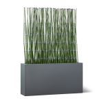 Planters Unlimited - UV Outdoor Rated Horsetail Reed Groves with Modern Planter