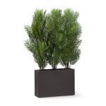 Planters Unlimited - UV Outdoor Rated Areca Palm Tree Divider in Modern Planter