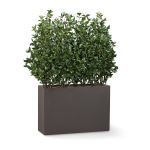 Planters Unlimited - UV Outdoor Rated 48"H Cherry Laurel in Modern Planter