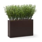 Planters Unlimited - UV Outdoor Rated Rosemary Shrub Divider in Modern Planters