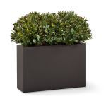 Planters Unlimited - UV Outdoor Rated Rhododendron Divider in Modern Planter