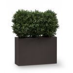 Planters Unlimited - UV Outdoor Rated Cypress Divider in Modern Planter