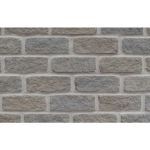 Arriscraft - Southern Dusk - Tumbled Georgia Brick