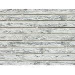 Arriscraft - Cedar Woods Rough Hewn - Georgia Architectural Linear Series Brick