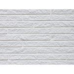 Arriscraft - White Pearl Rough Hewn - Georgia Architectural Linear Series Brick