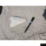 The 4 Kids - Dinosaur Tooth Fossil