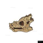 The 4 Kids - Dragon Head Fossil Dig