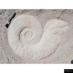 The 4 Kids - Ammonite Fossil
