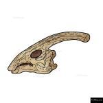 The 4 Kids - Parasaurolophus Fossil Dig