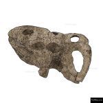 The 4 Kids - Protoceratops Fossil Climber
