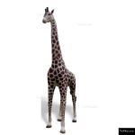 The 4 Kids - 12ft Giraffe