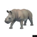 The 4 Kids - Baby Rhinoceros